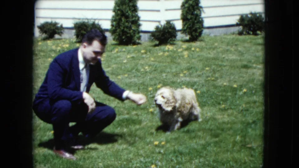 The man remains crouched near the fluffy puppy on a suburban Nevada lawn, with shrubs and white siding behind them.