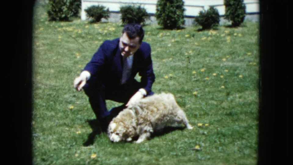 A suited man crouches beside the resting fluffy puppy on a Nevada lawn, with the white house and shrubs in the background.
