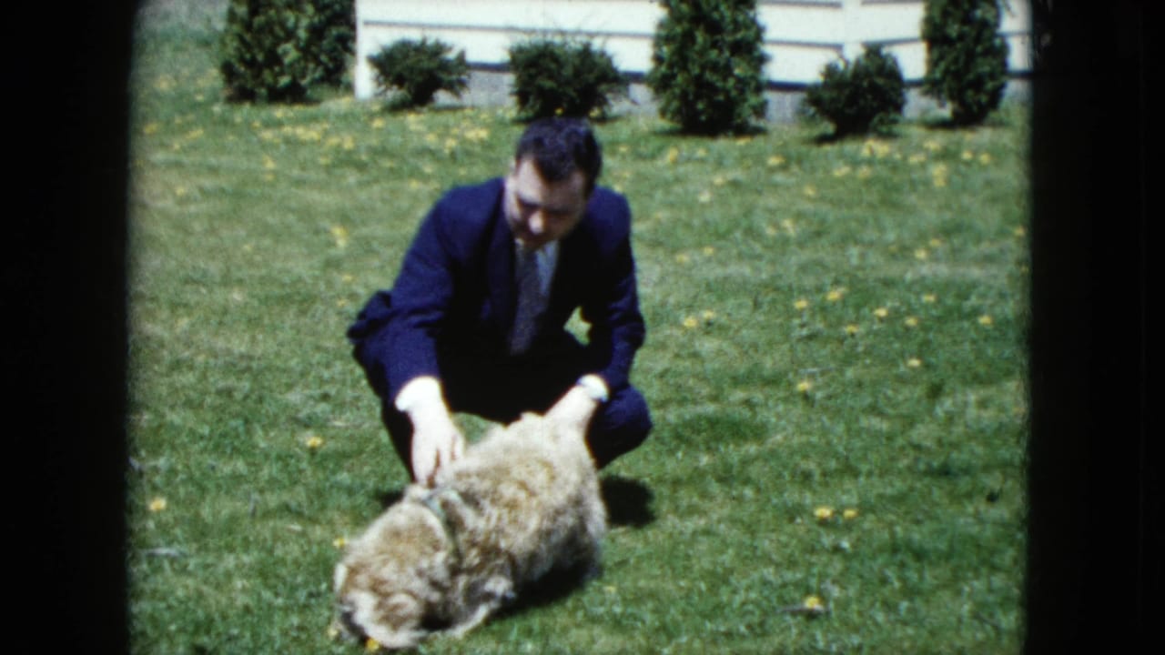 Man crouching on a lawn and petting a small light-colored dog.