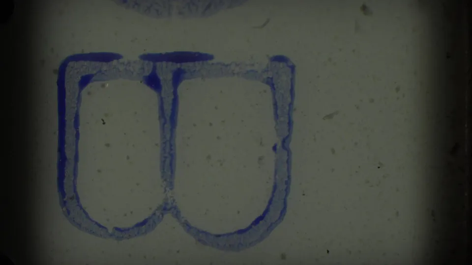 A mostly blank 8mm frame shows blue hand-drawn or leader markings with dust and film texture visible.