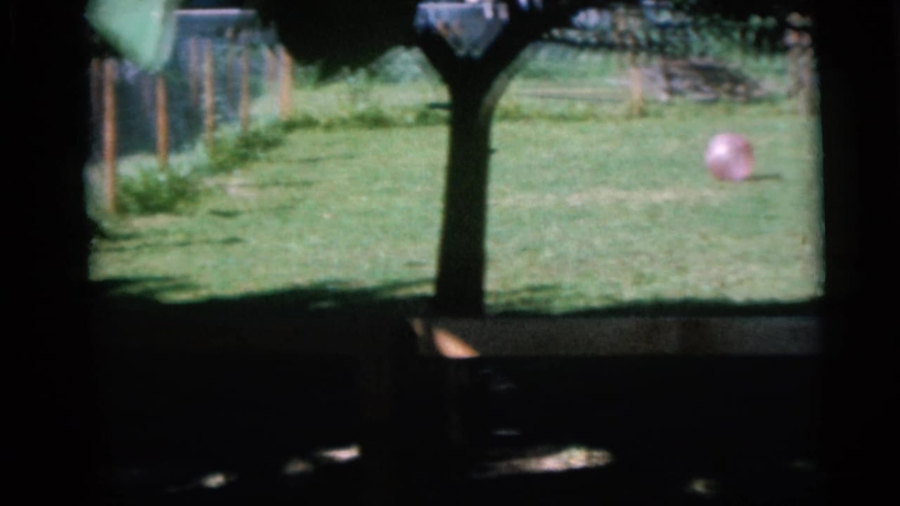 Grassy backyard with a wooden fence, tree shade, and a pink ball on the lawn.