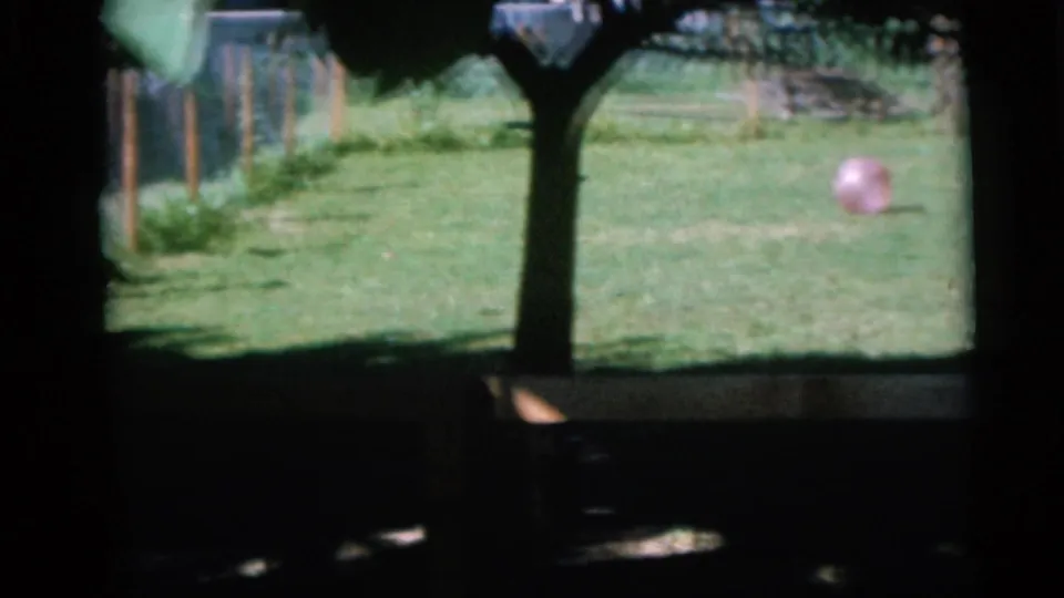 1960 Camden, New Jersey home-movie frame showing a shaded grassy backyard, simple wooden fence, and pink ball on the lawn.