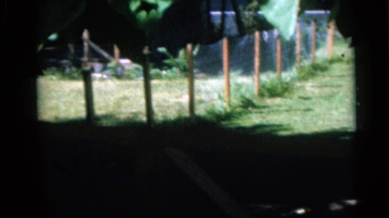 1960 Camden, New Jersey backyard view with grass, fence posts, foliage, and heavy shade across the foreground.
