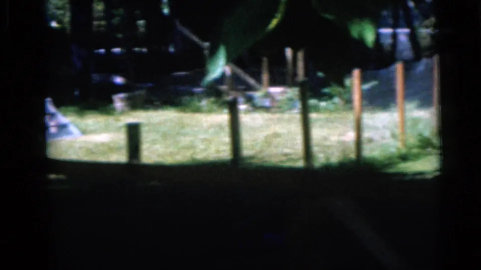 1960 Camden, New Jersey backyard frame with fence posts, sunlit grass, foliage, and a partially visible small yard structure.