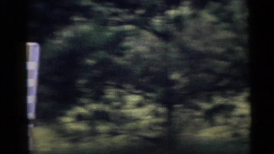 A soft, handheld 8mm frame shows trees and grass with the edge of a striped lawn chair at left.