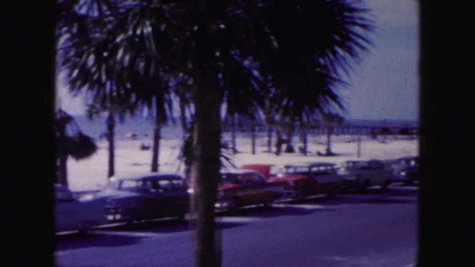 1960 Miami shoreline view with parked cars, palm trunks, pale beach sand, ocean, and dark vertical foreground framing.