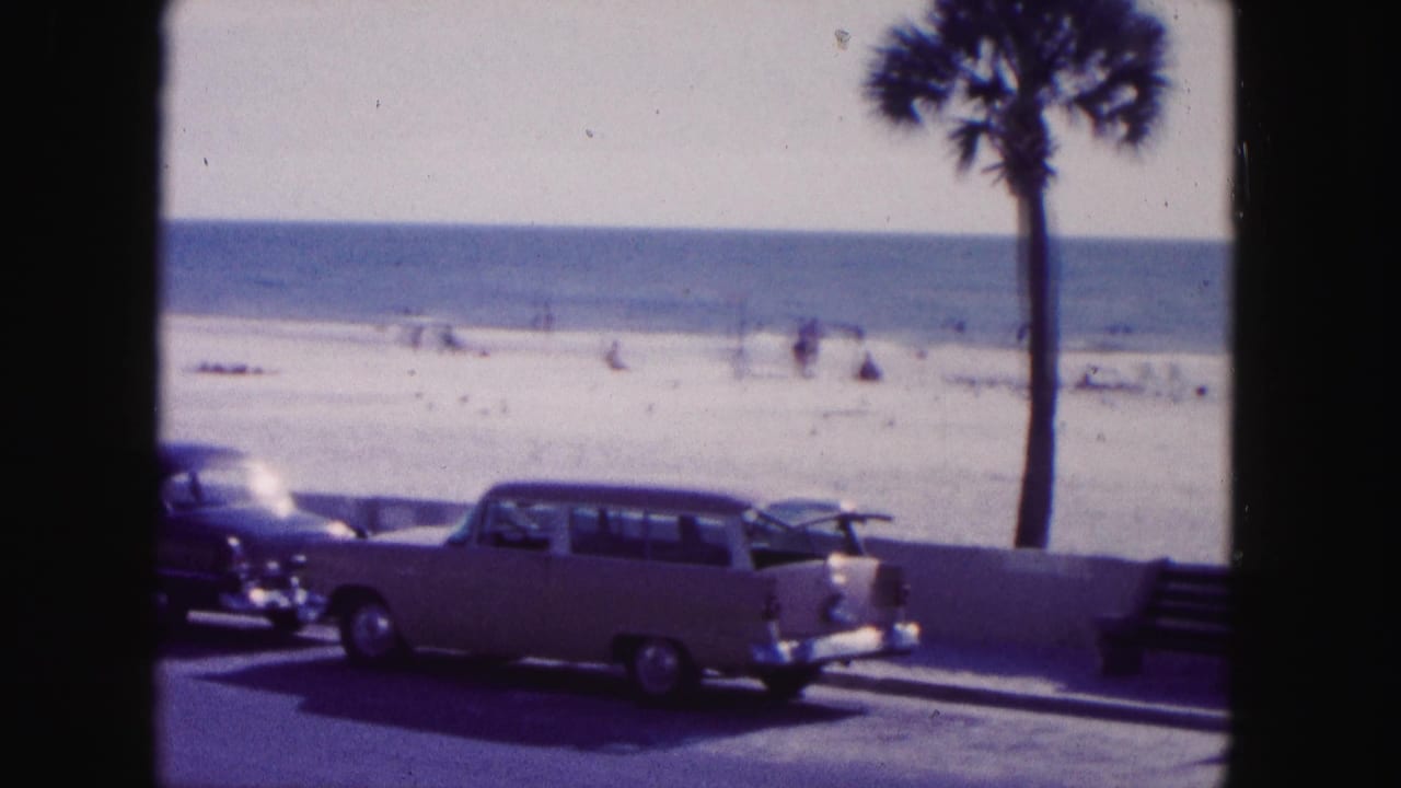 Classic cars parked beside a beach wall with palm trees, sand, ocean, and distant beachgoers.