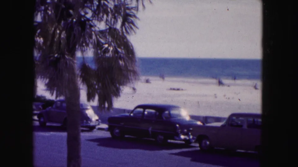 1960 Miami beach frame with a palm trunk in the foreground, classic cars by the road, beachgoers on the sand, and ocean beyond.