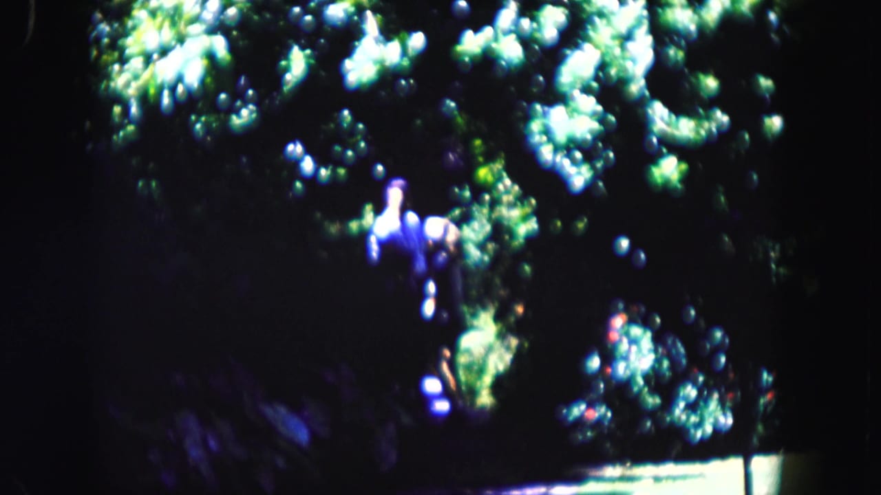 Woman standing or walking near dense leaves in heavy shade.