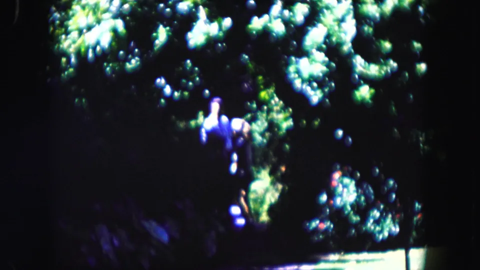 A distant woman moves through lush Miami greenery, with her figure partly lost in shadow and overexposed leaf highlights.