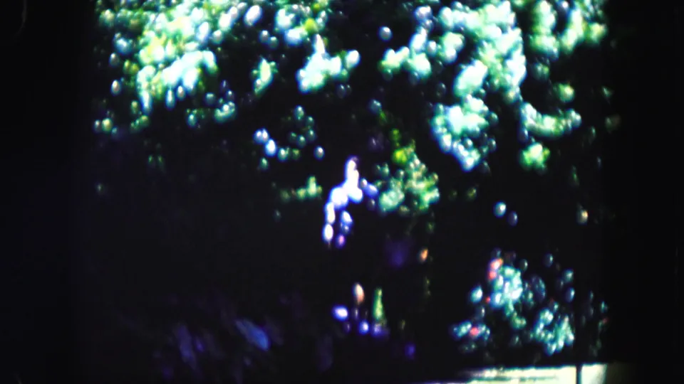 The woman appears lower in the frame among dark undergrowth and glowing leaves, consistent with vintage 8mm home-movie footage.
