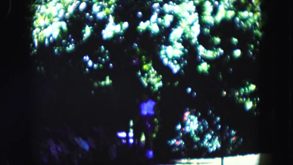 A small, blurred figure remains visible in the Miami greenery as the handheld 8mm frame catches strong leaf highlights.