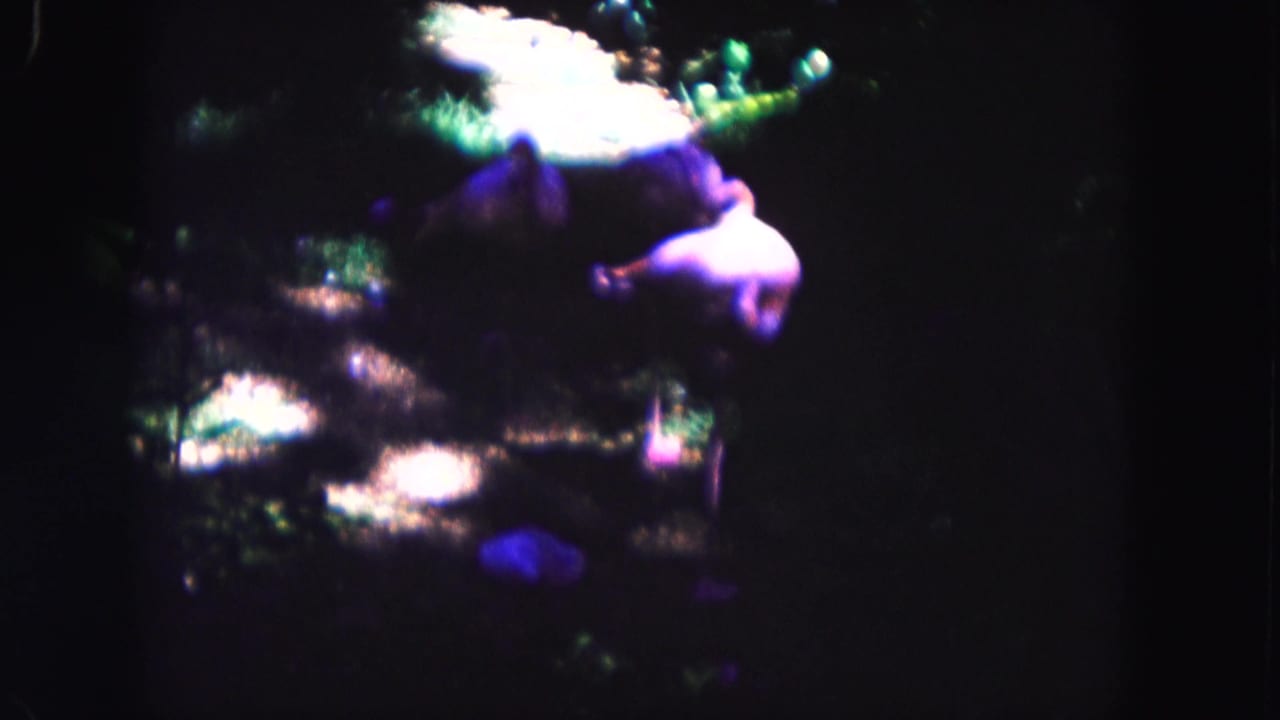 Dark, blurry outdoor frame with purple animal-like forms and bright patches among foliage.
