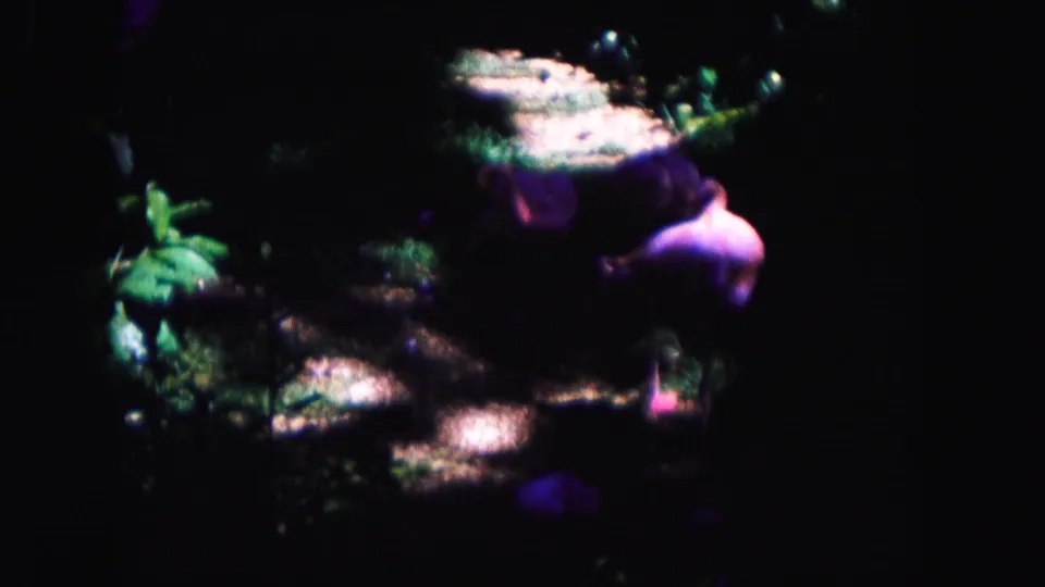 The flamingo appears under uneven light in the Miami zoo enclosure, surrounded by dark foliage and rocky surfaces.