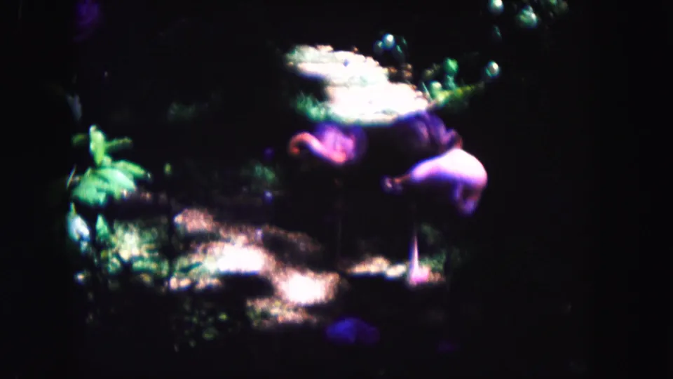 1960 Miami 8mm frame showing shadowed green foliage with glowing sunlight patches and a pronounced purple-green film palette.
