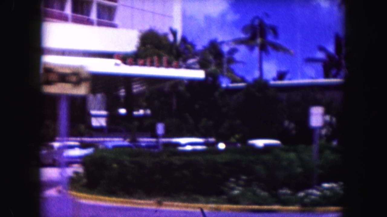 Modern building entrance with palms, hedges, parked cars, and signage.