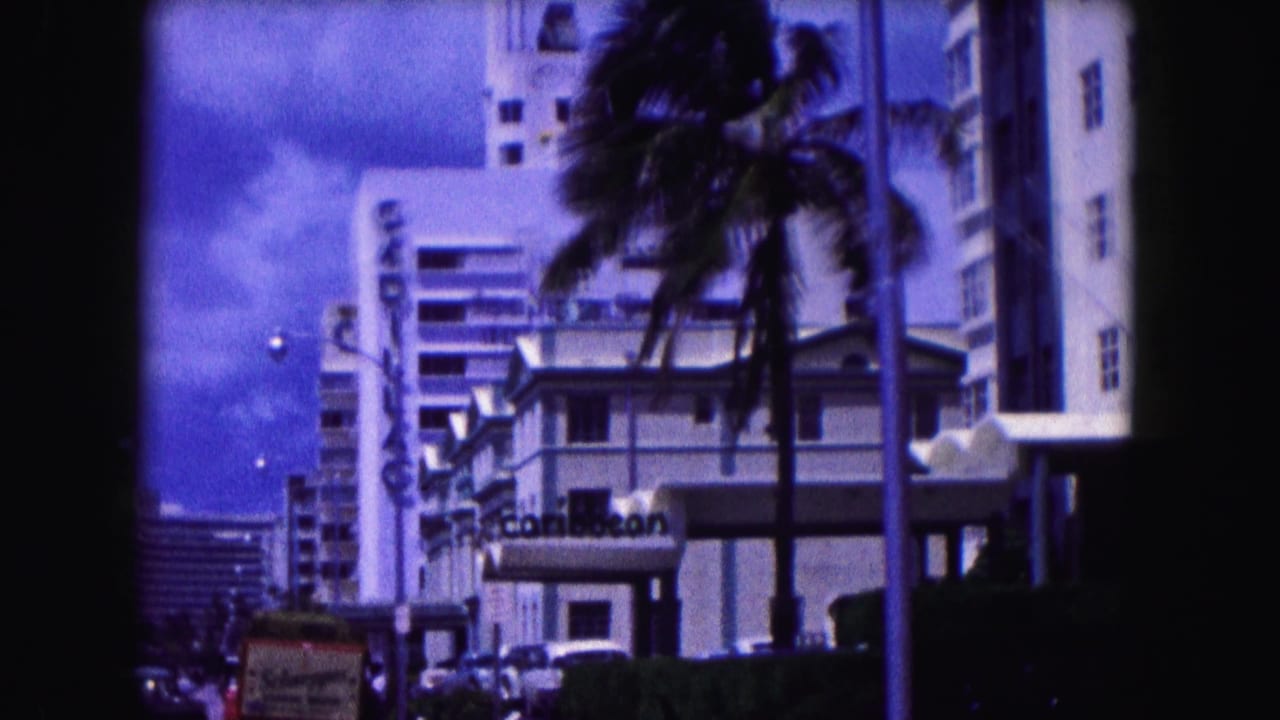 Palm tree and hotel buildings with visible vertical signage and parked cars.