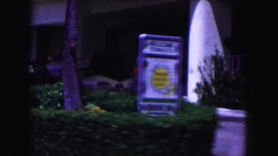 Miami hotel entrance view from 1960 with a palm trunk, freestanding sign, hedges, and a white curved architectural element.