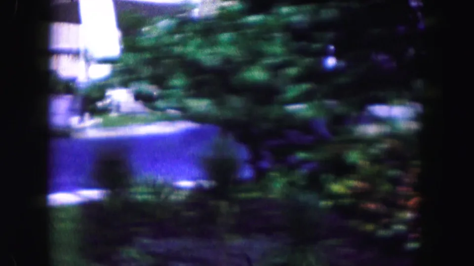 End frame from a 1960 Miami-area 8mm clip showing blurred palms, landscaping, street edge, and distant building shapes.