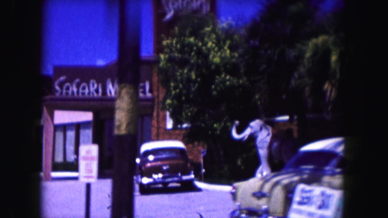 1960 Miami roadside view with Safari Motel signage, a parked vintage car, trees, and a visible sphinx-like sculpture.