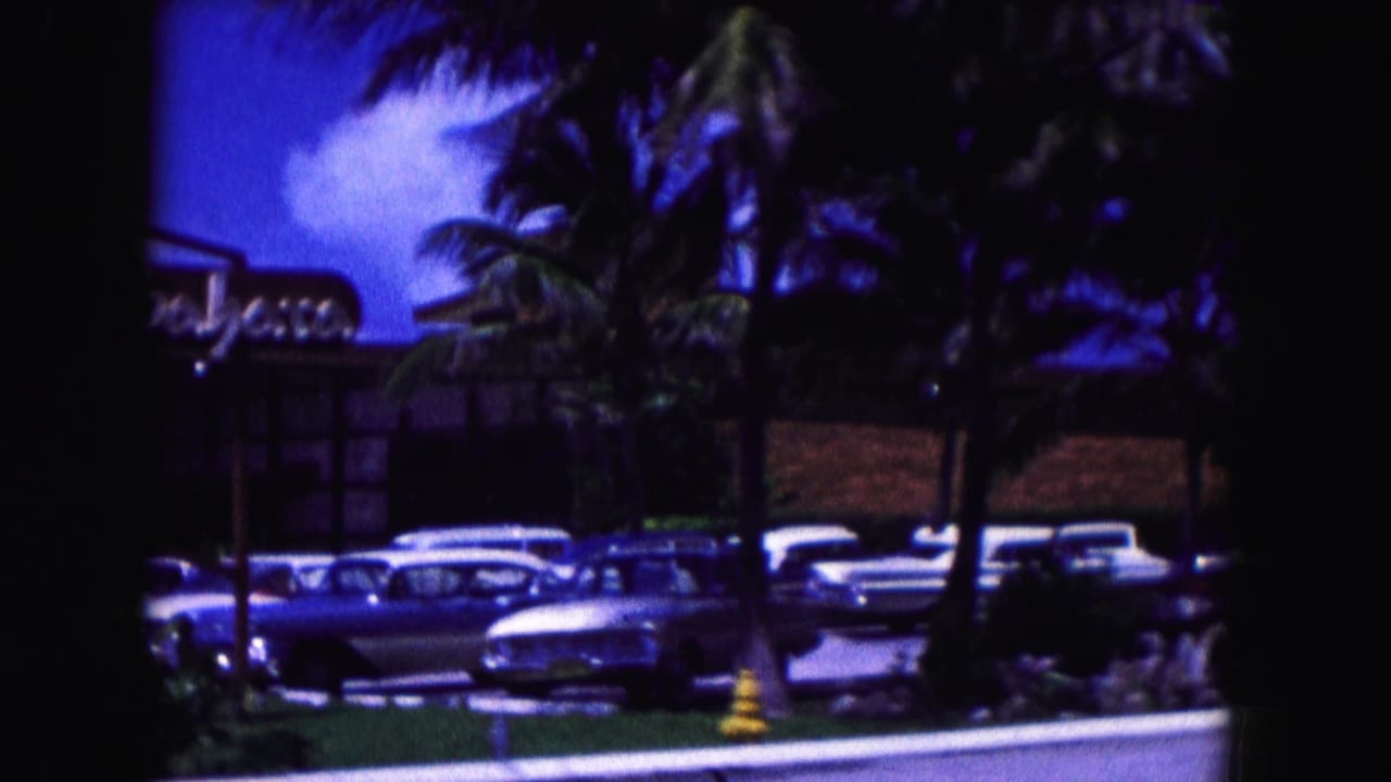 Palm trees, parked classic cars, and a low building beside a roadside area.