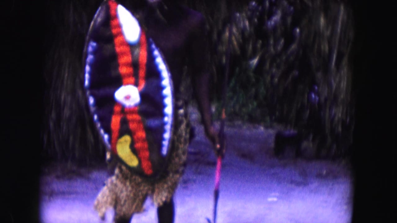 Costumed person holding a patterned shield and staff near palm foliage.