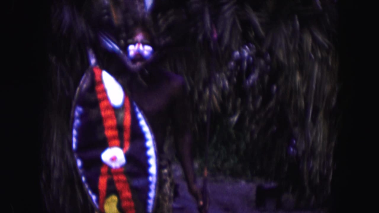Costumed person partly framed with a large patterned shield and dark foliage.