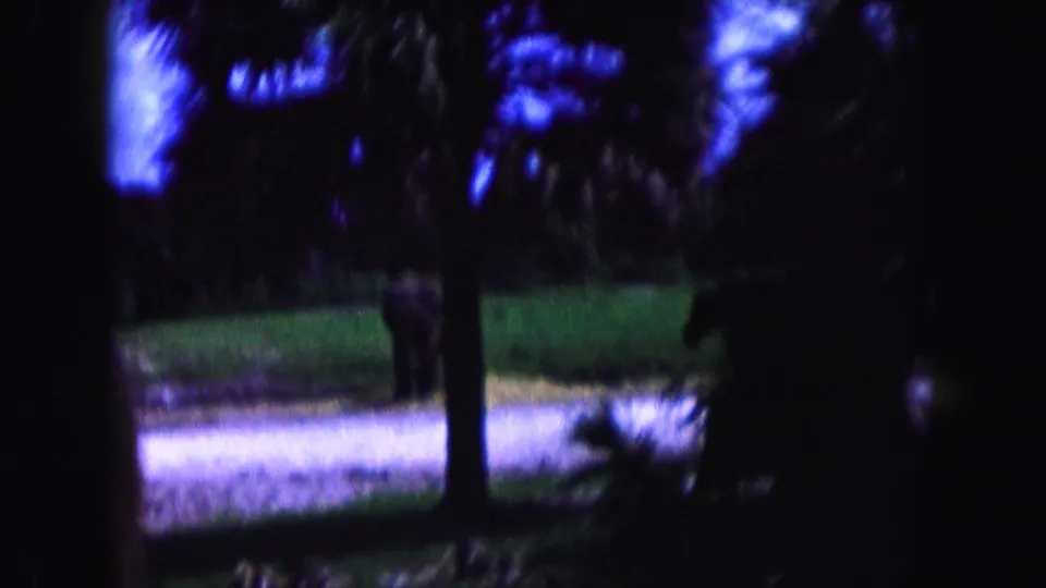 1960 Miami 8mm frame with dark gate edges, palm trunks, green grass and a pale sandy path beyond the foreground.