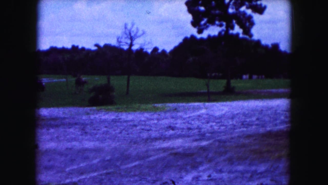 Distant grassy animal enclosure with trees, dirt foreground, and dark film gate edges.