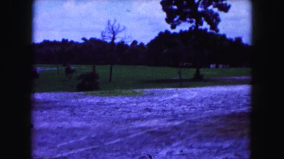 1960 Miami-area 8mm frame showing a distant grassy animal enclosure with trees, dirt path, and heavy blue-purple film cast.