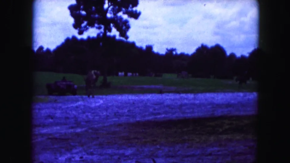 1960 Miami-area 8mm frame showing distant camels or large animals near a small vehicle in an open enclosure.