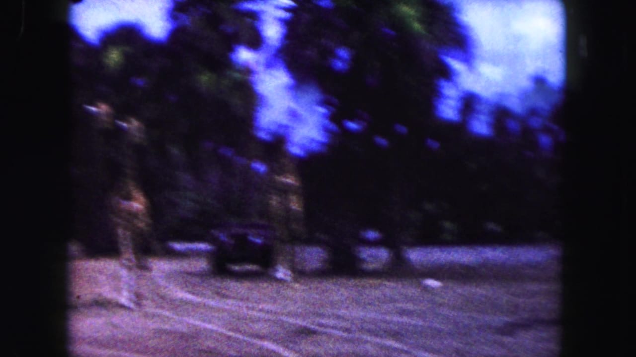 Blurred giraffe in an open enclosure with palm trees and a dark vehicle behind it.