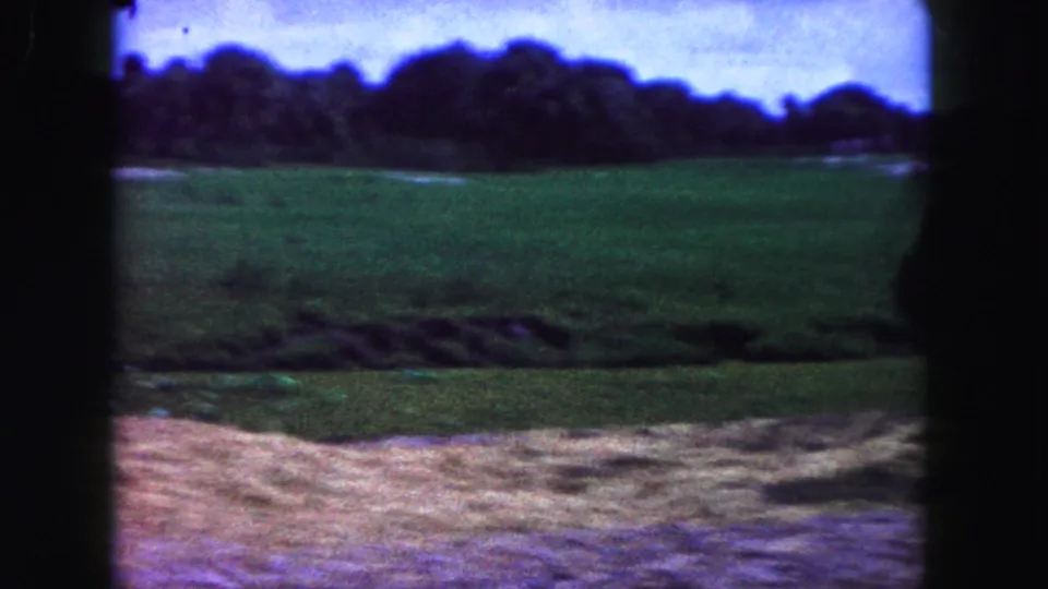 1960 Miami-area 8mm frame showing the elephant enclosure landscape as the animal moves outside the visible frame.