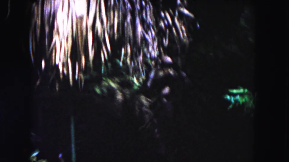 1960 Miami 8mm frame with hanging thatch, deep shadow, vegetation, and a small shadowed figure partly visible at lower right.