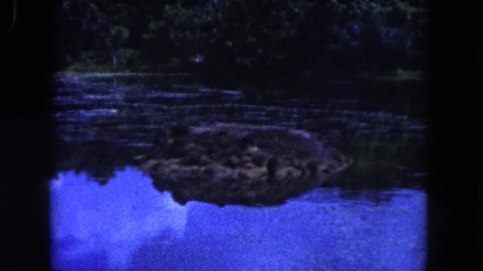 1960 Miami home-movie frame showing a lagoon, reflected rock formation, and dense shaded greenery around the water.