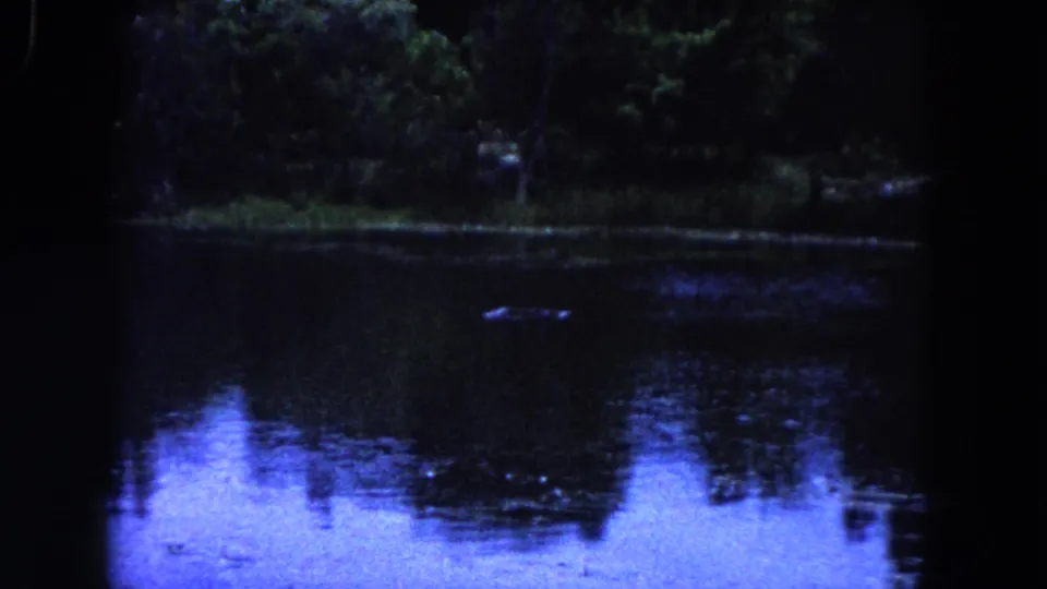 1960 Miami home-movie frame showing a pond surface reflecting trees and sky, with a small object on the water.
