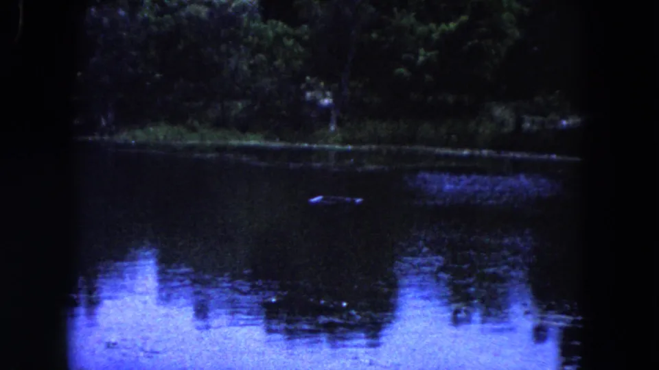 1960 Miami 8mm frame of a quiet pond bordered by dense trees, with blue-toned reflections on the water.