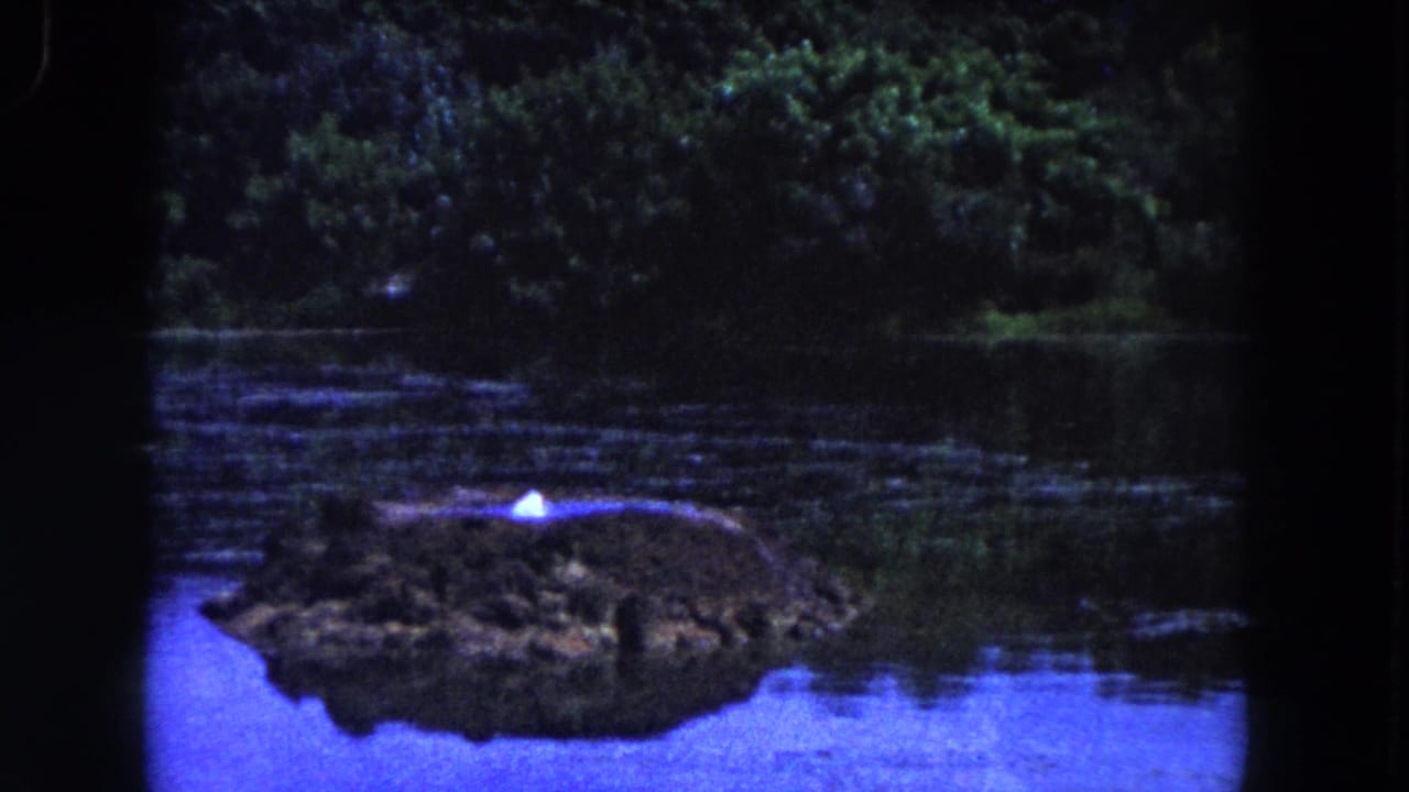 1960 Miami 8mm frame showing a low island in calm blue-purple water, dense trees behind it, and a small bright white spot on or above the island.