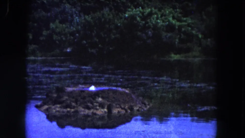1960 Miami 8mm frame showing a low island in calm blue-purple water, dense trees behind it, and a small bright white spot on or above the island.