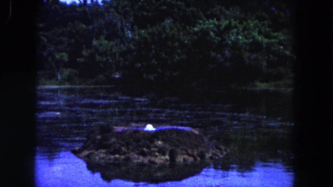 1960 Miami 8mm frame with the island slightly shifted in view, calm water, dark green trees, and a bright white spot on the island.