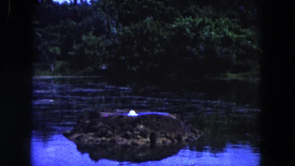 1960 Miami 8mm frame with the island slightly shifted in view, calm water, dark green trees, and a bright white spot on the island.