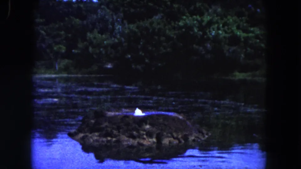 1960 Miami 8mm frame showing the same small island in calm water, with a brighter white shape standing out against the dark shoreline.