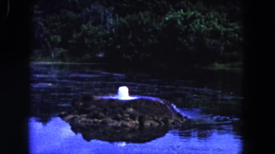 1960 Miami 8mm frame where the white shape appears larger above the island, surrounded by calm water and dark shoreline vegetation.