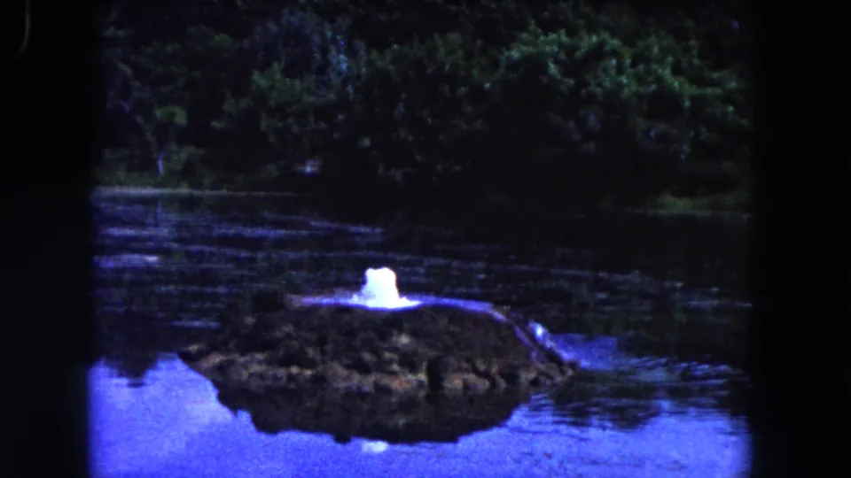 1960 Miami-area 8mm frame showing a low water spout on a rock mound in a lake, backed by dense trees and dark water.