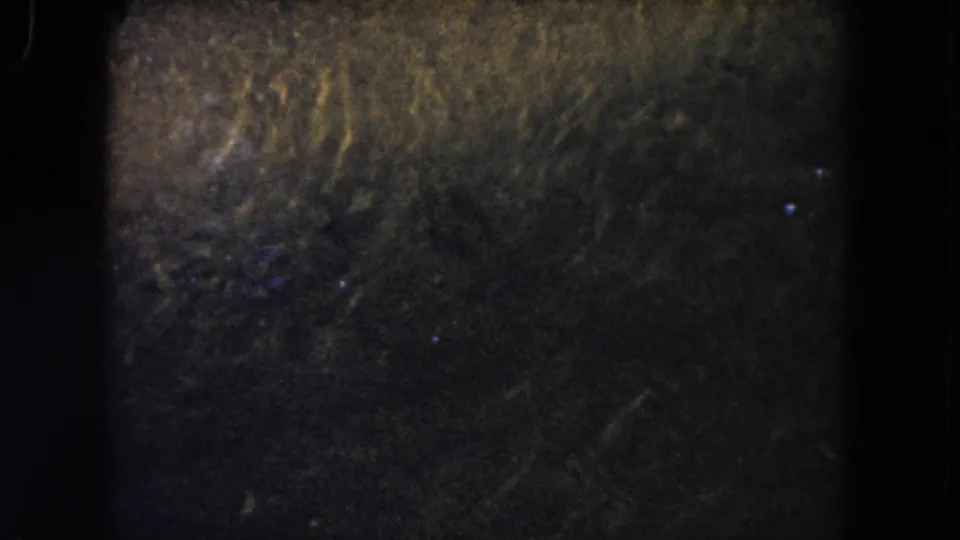 1960 8mm frame from Miami-area footage showing dark water with small bright fish-like shapes and grainy exposure.