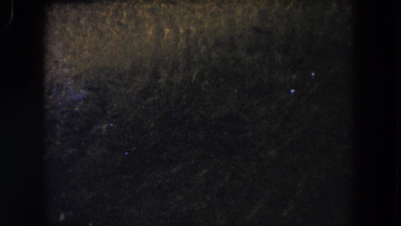 Dark pond water with a few bright fish-like shapes and mottled surface texture.
