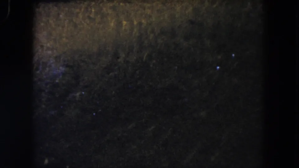 Grainy 1960 Miami-area 8mm view of dark pond water with a few bright fish-like shapes visible.