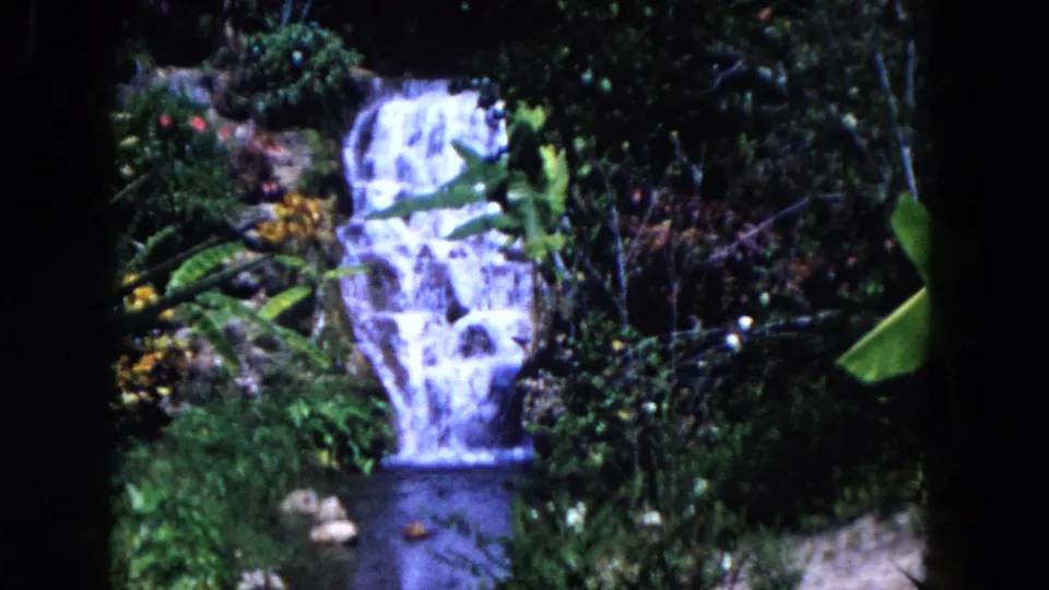 1960 Miami-area 8mm frame of a small garden waterfall flowing into a pool amid dense tropical plants.