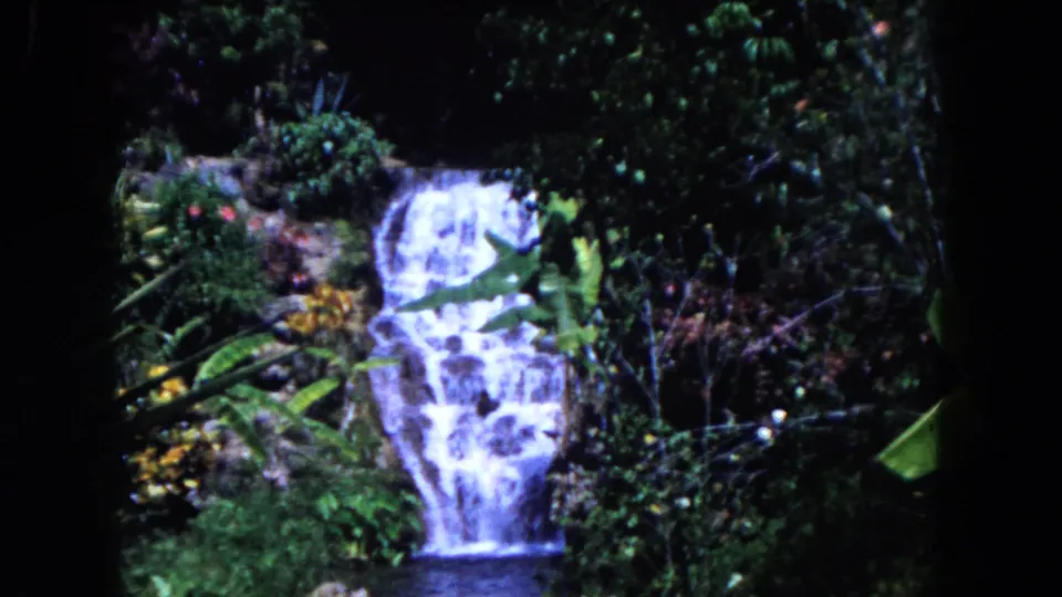 Grainy 1960 Miami-area 8mm view of a small waterfall, pool, rocks, and surrounding tropical greenery.