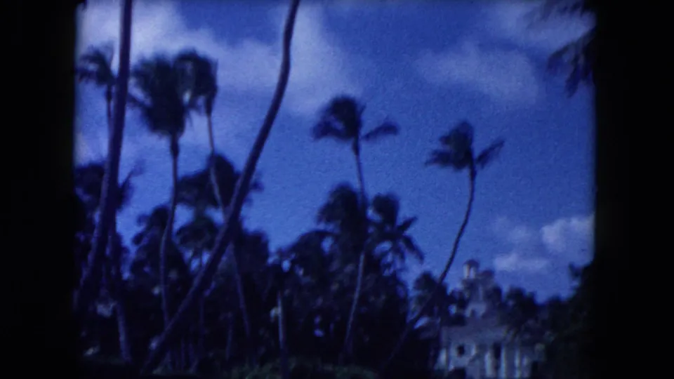 1960 Miami home-movie frame showing tall palms and tropical greenery under a blue sky from a moving car perspective.